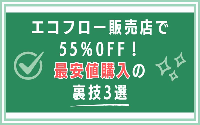 エコフロー販売店で55%OFF!最安値購入の裏技3選